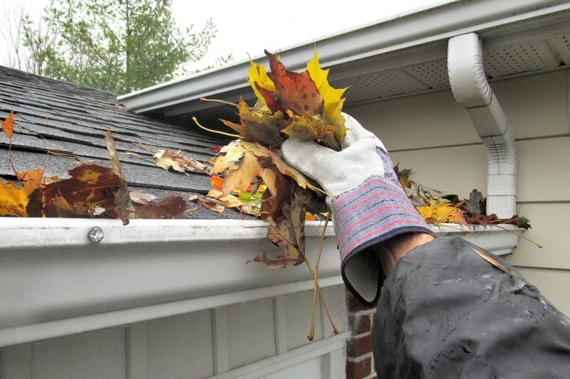 Rain Gutter Flushing Service