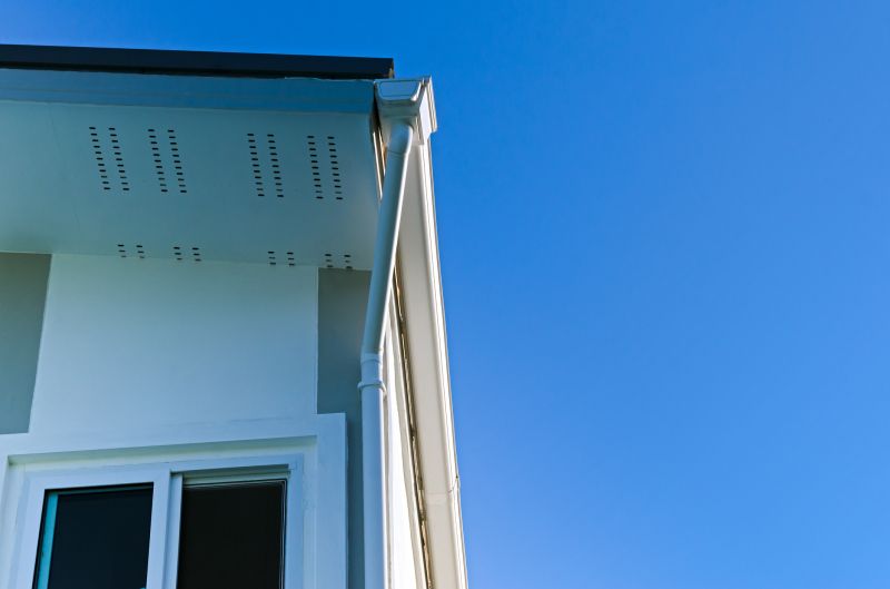 Rain Gutter Flushing