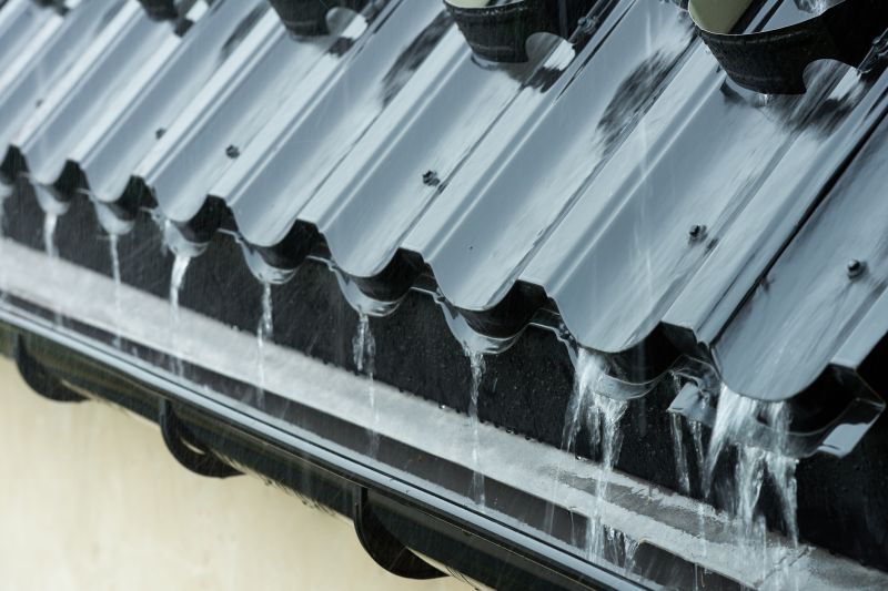 Rain Gutter Flushing