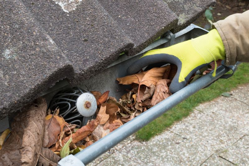 Commercial Gutter Cleaning in Mcdonough, GA