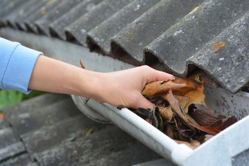 Clogged Gutter Removal