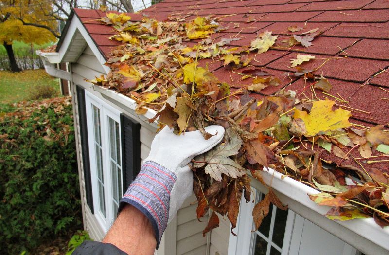 Rain Gutter Flushing