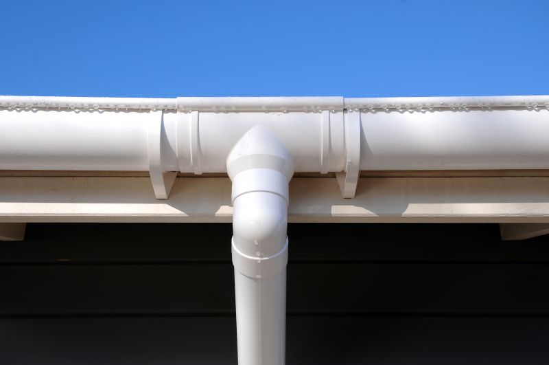 Rain Gutter Flushing