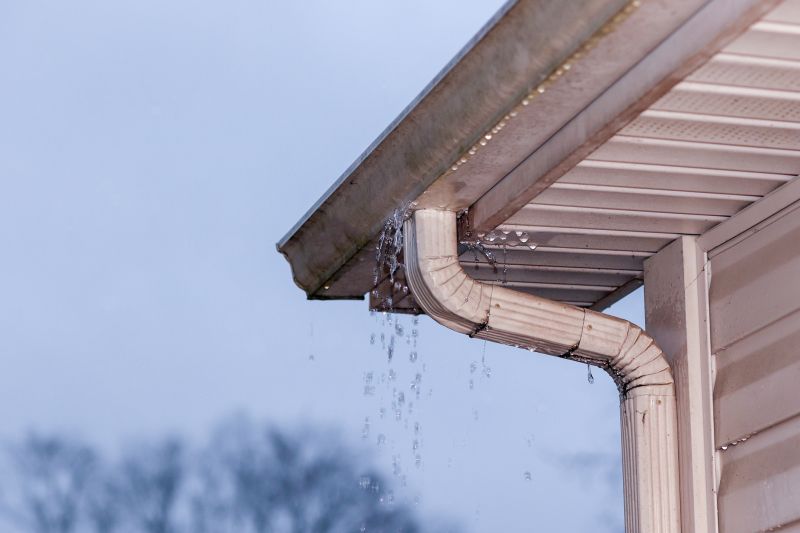 Rain Gutter Flushing
